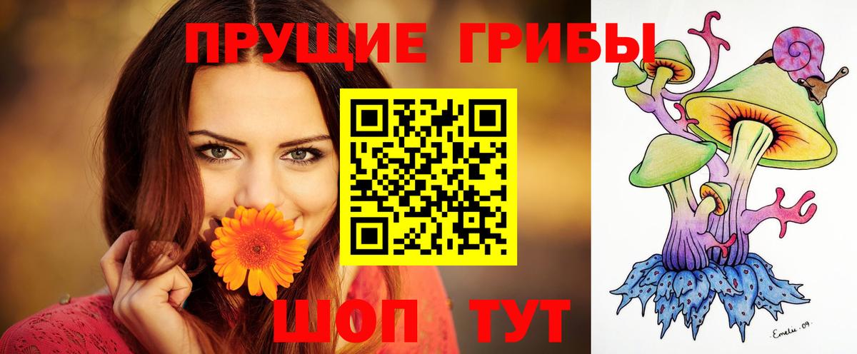 Дзержинск  наркошоп  Вход с VPN  Галлюциногенные грибы мухоморы 